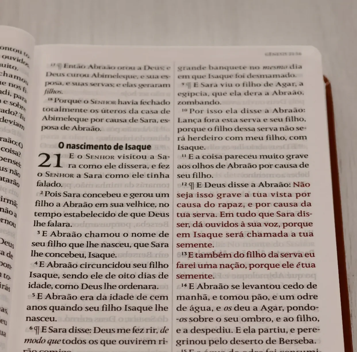 Imagem do produto 5